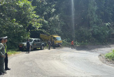Jalur Liku 9 Kepahiang-Bengkulu Buka Tutup, Pohon Rawan Tumbang Mulai Dipangkas