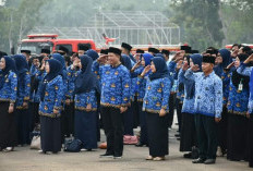 Melaju ke SKD CPNS, 80 Persen Pelamar Didominasi Warga Kota Bengkulu