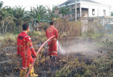 Tahun Ini Sudah Terjadi 64 Kasus Kebakaran Lahan di Kota Bengkulu