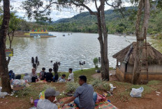 Bupati Azhari: OPD Harus Kreatif Dongkrak PAD