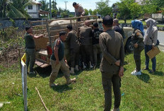 Satpol PP Kembali Razia Ternak Liar