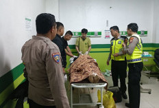 Wanita Paruh Baya Di Rejang Lebong Ditemukan Tak Bernyawa di Tepi Jalan, Diduga Korban Tabrak Lari