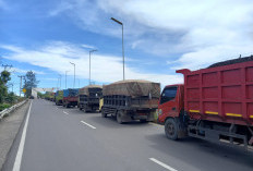 Truk Angkutan Batu Bara dan Perkebunan Dilarang Beroperasi Siang Hari