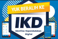 Mengenal IKD, Cukup Pakai HP Bisa Akses Data KTP, KK dan Akta Kelahiran Tanpa Ribet