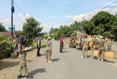 Tangkap Ternak Berkeliaran, Satpol PP dan Damkar Bengkulu Selatan Bisa Hasilkan PAD