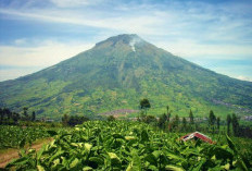  Wajib Dikunjungi, Gunung Sumbing Memiliki Pesona Alam yang Menakjubkan