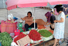 Stok Lama, Cabai Merah Dijual Cuma Rp40 Ribu/Kg