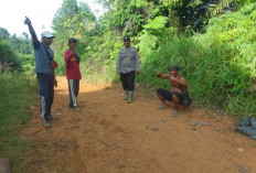 Pohon Besar Tumbang Menimpa Camp 4 Penambang Emas, 1 Warga Kabupaten Kaur Meninggal 