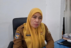 17 Honorer Gagal Diangkat jadi PPPK Paruh Waktu