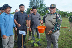 Jaga Kelestarian Lingkungan dan Alam, Pemkab Bengkulu Selatan Bangun Hutan Prajurit dan Hutan Santri