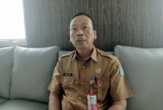 Bengkulu Utara Dapat Tambahan Cetak Sawah 20 Hektare Tahun 2026