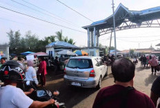 Pembenahan TPI Dinilai Mampu Tambah PAD Provinsi Bengkulu