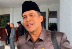 Ketua DPRD Seluma Tak Kunjung Dilantik, Ini Tanggapan Ketua Fraksi PPP