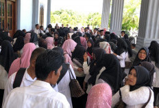Honorer Non-Database Mukomuko Masih Tanpa Kepastian Status