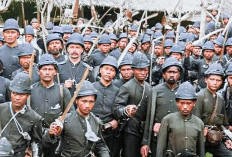 Londo Ireng, Wajah Pribumi di Balik Mesin Militer Kolonial