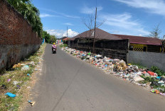 Usai Bak Kontainer Sampah Ditarik, Sampah di Jalan Lempuing Berserakan Berbulan-bulan