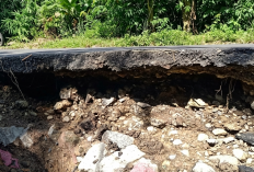 Jalan di Lebong Ambles, Kabid Bina Marga: Rekanan Klaim Seminggu Lagi Perbaiki