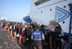  Program Diskon Transportasi PELNI Terserap 96 Persen