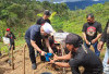 Gubernur Helmi Launcing dan Tanam 45 Ribu Bibit Kopi Bumi Merah Putih di Lebong