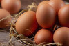 Telur Busuk jangan Dibuang, Ini 10 Manfaatnya yang Menguntungkan 