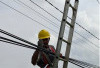 Tingkatkan Keandalan Jaringan, PLN ICON PLUS Sumbagsel Lakukan Pemeliharaan Kabel Fiber Optik