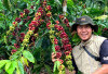 Kopi Robusta Rejang Lebong Berjaya di Ajang Nasional