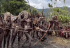 Sejarah dan Budaya Suku Dani, Penjaga Tradisi Leluhur di Pegunungan Papua