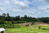 95 Hektare Lahan Sawah Tadah Hujan di Pino Raya Kekeringan 