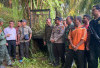 Dampak Hutan Menjadi Kebun Sawit Ilegal, Harimau Pemangsa Warga Jejaknya Mengarah ke Kota Mukomuko 