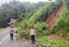 Pohon Tumbang dan Longsor di Kepahiang, 2 Unit Rumah Terdampak