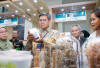 Prospek Menjanjikan Industri Pengolahan Rumput Laut, Peluang Pasar Capai USD11,8 Miliar