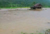 Sawah Terendam Banjir, Petani Minta Dibangun Tanggul Pembatas dengan Sungai