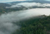 Dari Hutan Hujan Purba hingga Ibu Kota Baru Indonesia! Berikut 4 Fakta Unik Pulau Kalimantan