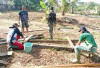 Kemandirian Pangan Masyarakat, Kodim BSK Bangun Urban Farming